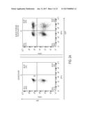 TREATMENT OF CANCER USING HUMANIZED ANTI-EGFRvIII CHIMERIC ANTIGEN     RECEPTOR diagram and image