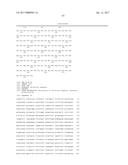 TREATMENT OF CANCER USING HUMANIZED ANTI-EGFRvIII CHIMERIC ANTIGEN     RECEPTOR diagram and image