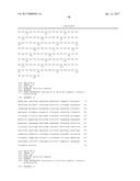 TREATMENT OF CANCER USING HUMANIZED ANTI-EGFRvIII CHIMERIC ANTIGEN     RECEPTOR diagram and image