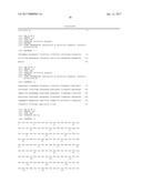 TREATMENT OF CANCER USING HUMANIZED ANTI-EGFRvIII CHIMERIC ANTIGEN     RECEPTOR diagram and image