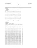 TREATMENT OF CANCER USING HUMANIZED ANTI-EGFRvIII CHIMERIC ANTIGEN     RECEPTOR diagram and image