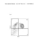 Anti-CD38 Antibodies for Treatment of Light Chain Amyloidosis and Other     CD28-Positive Hematological Malignancies diagram and image