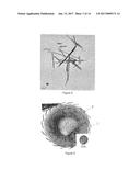 INDUSTRIAL LUBRICANT INCLUDING METAL CHALCOGENIDE PARTICLES AND     PHOSPHORUS-BASED ADDITIVE diagram and image