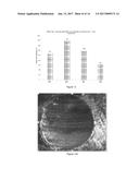 INDUSTRIAL LUBRICANT INCLUDING METAL CHALCOGENIDE PARTICLES AND     PHOSPHORUS-BASED ADDITIVE diagram and image