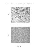 Accelerated Wright-Giemsa and May-Grunwald Staining Methods diagram and image