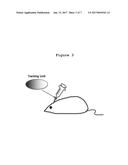 POSITION AND BEHAVIORAL TRACKING SYSTEM AND USES THEREOF diagram and image