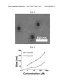 WATER-DISPERSIBLE AMORPHOUS PARTICLES AND METHOD FOR PREPARING SAME diagram and image