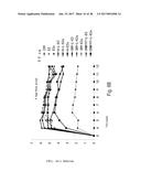 Fusion Protein Comprising Diphtheria Toxin Non-Toxic Mutant CRM197 or     Fragment Thereof diagram and image