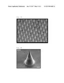 MICRONEEDLE PREPARATION ADMINISTRATION MEMBER FOR PLACEMENT OF OBJECTIVE     SUBSTANCE IN DERMIS, AND APPARATUS FOR QUICK ADMINISTRATION OF     MICRONEEDLE PREPARATION diagram and image