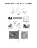 MULTI-INDEX DETECTION MICROFLUIDIC CHIP AND METHODS OF USE diagram and image