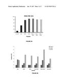 PRO-APOPTOTIC RAS AND RAF PEPTIDES diagram and image