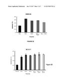 PRO-APOPTOTIC RAS AND RAF PEPTIDES diagram and image