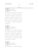 CLAUDIN-6-SPECIFIC IMMUNORECEPTORS AND T CELL EPITOPES diagram and image