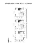 CLAUDIN-6-SPECIFIC IMMUNORECEPTORS AND T CELL EPITOPES diagram and image