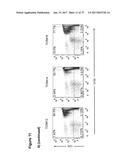 CLAUDIN-6-SPECIFIC IMMUNORECEPTORS AND T CELL EPITOPES diagram and image