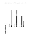 CLAUDIN-6-SPECIFIC IMMUNORECEPTORS AND T CELL EPITOPES diagram and image