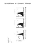 CLAUDIN-6-SPECIFIC IMMUNORECEPTORS AND T CELL EPITOPES diagram and image