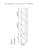 CLAUDIN-6-SPECIFIC IMMUNORECEPTORS AND T CELL EPITOPES diagram and image