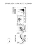 CLAUDIN-6-SPECIFIC IMMUNORECEPTORS AND T CELL EPITOPES diagram and image