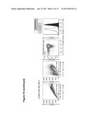 CLAUDIN-6-SPECIFIC IMMUNORECEPTORS AND T CELL EPITOPES diagram and image