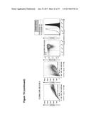 CLAUDIN-6-SPECIFIC IMMUNORECEPTORS AND T CELL EPITOPES diagram and image