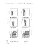 CLAUDIN-6-SPECIFIC IMMUNORECEPTORS AND T CELL EPITOPES diagram and image