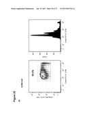 CLAUDIN-6-SPECIFIC IMMUNORECEPTORS AND T CELL EPITOPES diagram and image