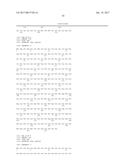 CLAUDIN-6-SPECIFIC IMMUNORECEPTORS AND T CELL EPITOPES diagram and image