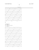 CLAUDIN-6-SPECIFIC IMMUNORECEPTORS AND T CELL EPITOPES diagram and image