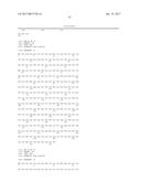 CLAUDIN-6-SPECIFIC IMMUNORECEPTORS AND T CELL EPITOPES diagram and image