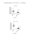 ASYMMETRIC INTERFERING RNA COMPOSITIONS THAT SILENCE K-RAS AND METHODS OF     USES THEREOF diagram and image