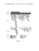 SINGLE NUCLEOTIDE POLYMORPHISMS (SNP) AND ASSOCIATION WITH RESISTANCE TO     IMMUNE TOLERANCE INDUCTION diagram and image