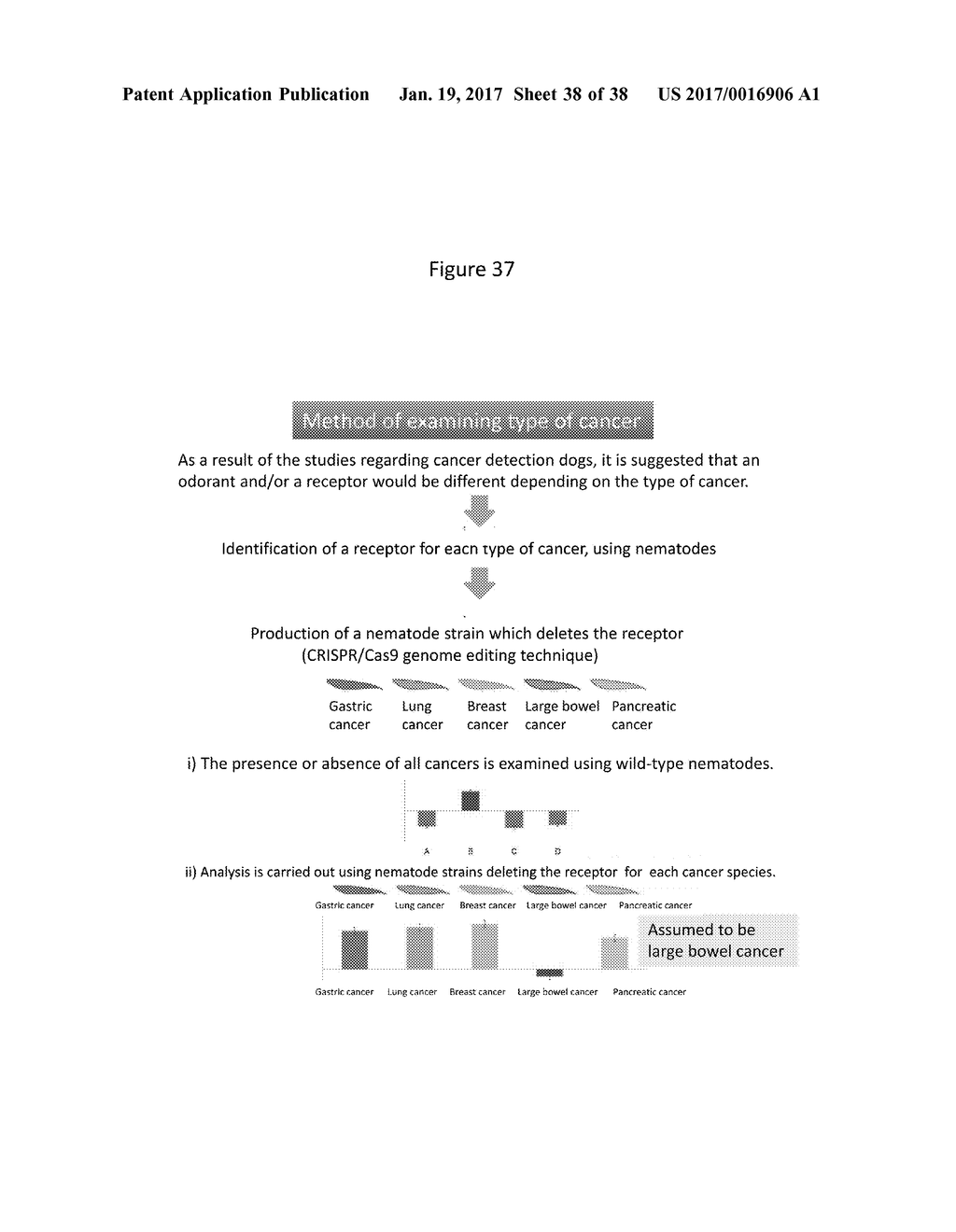 CANCER DETECTION METHOD USING SENSE OF SMELL OF NEMATODE - diagram, schematic, and image 39