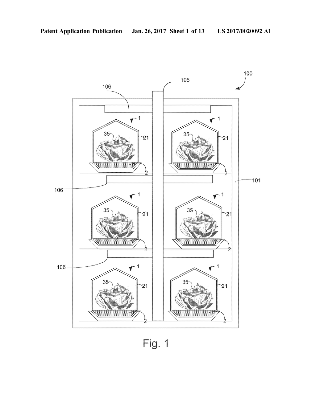 SYSTEM AND METHOD FOR PRODUCING A PLANT - diagram, schematic, and image 02