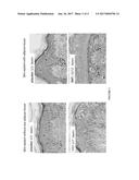 COSMETIC USES OF SWERTIAMARIN diagram and image