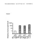 METHODS FOR MONITORING CELLULAR STATES AND FOR IMMORTALIZING MESENCHYMAL     STEM CELL diagram and image