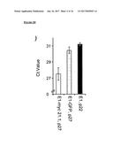 METHODS FOR MONITORING CELLULAR STATES AND FOR IMMORTALIZING MESENCHYMAL     STEM CELL diagram and image