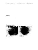 METHODS FOR MONITORING CELLULAR STATES AND FOR IMMORTALIZING MESENCHYMAL     STEM CELL diagram and image