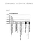 METHODS FOR MONITORING CELLULAR STATES AND FOR IMMORTALIZING MESENCHYMAL     STEM CELL diagram and image