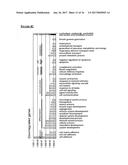 METHODS FOR MONITORING CELLULAR STATES AND FOR IMMORTALIZING MESENCHYMAL     STEM CELL diagram and image