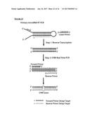 METHODS FOR MONITORING CELLULAR STATES AND FOR IMMORTALIZING MESENCHYMAL     STEM CELL diagram and image