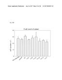 NOVEL LACTOBACILLUS PLANTARUM AND COMPOSITION COMPRISING SAME diagram and image