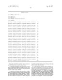 NOVEL LACTOBACILLUS PLANTARUM AND COMPOSITION COMPRISING SAME diagram and image