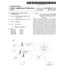 COORDINATING MULTIPLE VIRTUAL ENVIRONMENTS diagram and image