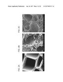 Biochar Coated Seeds diagram and image