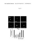 METHODS FOR AMELIORATING AND PREVENTING CENTRAL NERVOUS SYSTEM     INFLAMMATION diagram and image