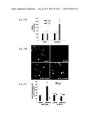 METHODS FOR AMELIORATING AND PREVENTING CENTRAL NERVOUS SYSTEM     INFLAMMATION diagram and image