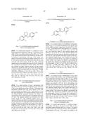 ARYL AND HETEROARYL ETHER COMPOUNDS AS ROR GAMMA MODULATORS diagram and image