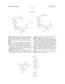 MACROCYLIC PYRIMIDINE DERIVATIVES diagram and image