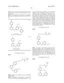 MACROCYLIC PYRIMIDINE DERIVATIVES diagram and image